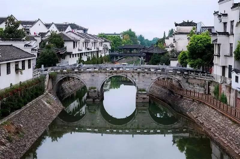 饿狮救援
